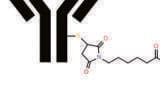 Accelerating ADC Development with Mass Spectrometry